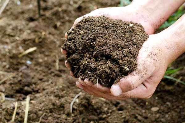 SoilFertilitySectionF.
